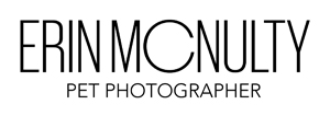 Melbourne Pet Photographer and Pet Photography Melbourne