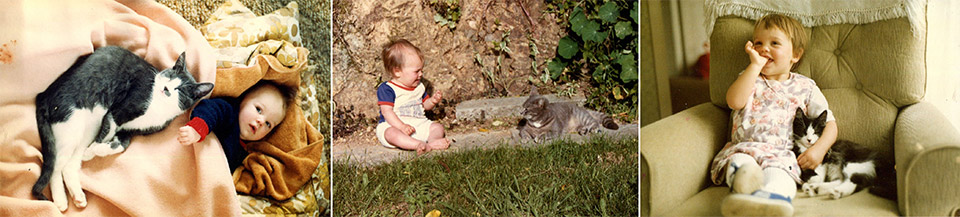 Erin-McNulty-Kittens-and-Cats