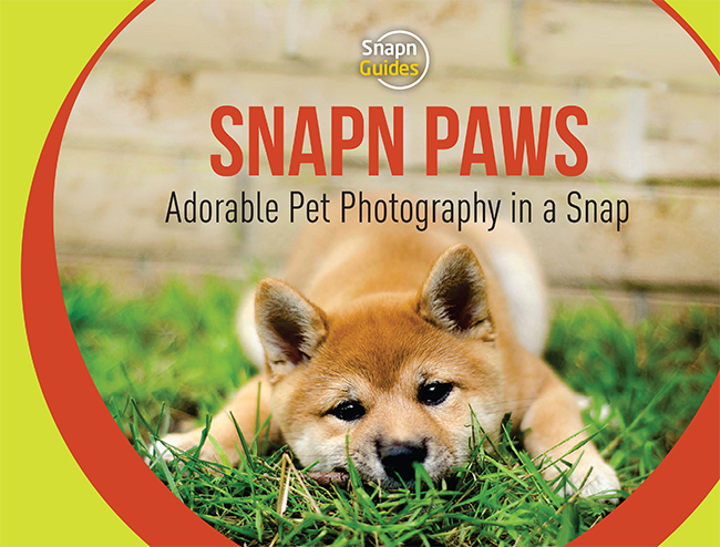 Guide to Pet Photography