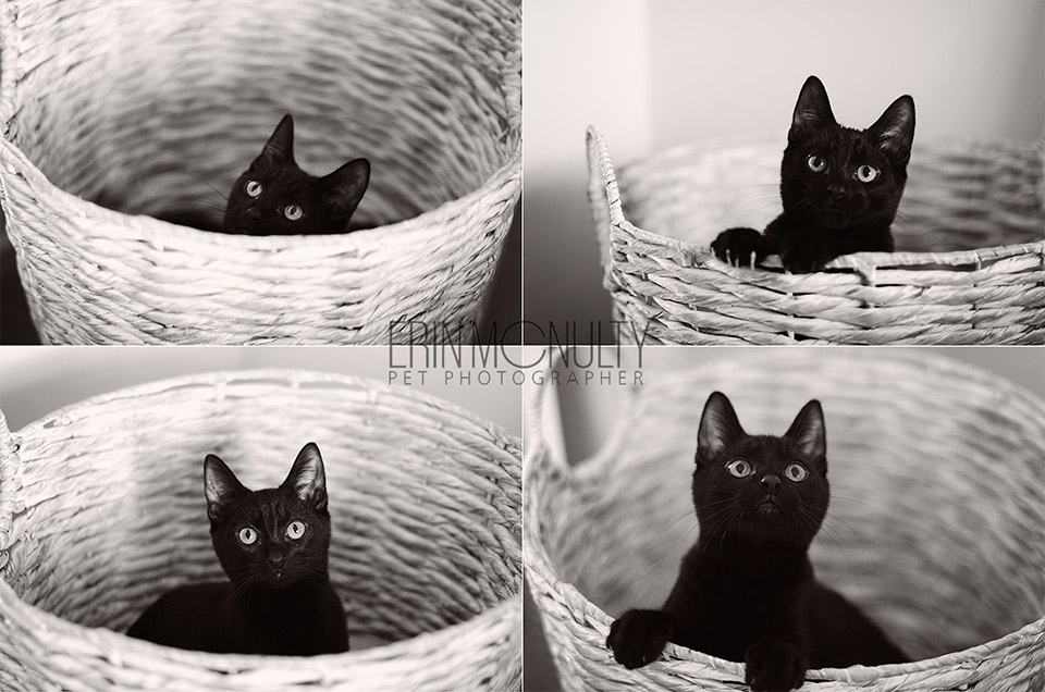 Helping mum with the laundry